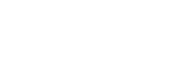 vitivin